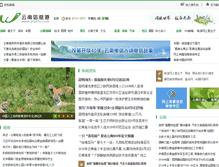 Tablet Screenshot of loko.yninfo.com